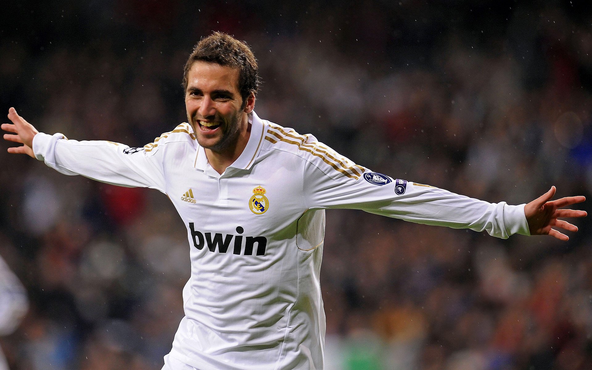 综合格斗赛场焦点！巴西队对阵阿根廷队，年轻新星表现惊艳，未来可期-半岛体育在线